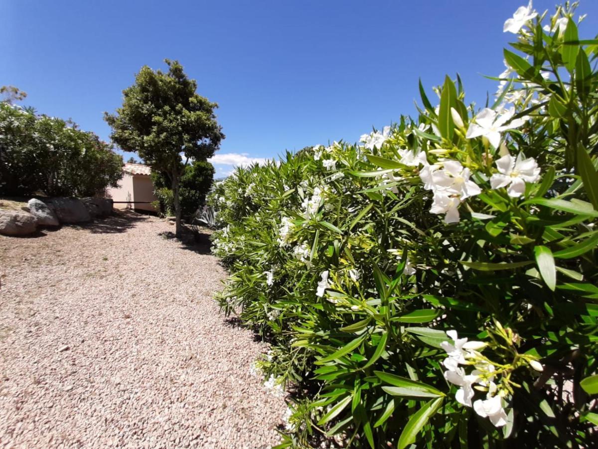 Sole Di Dume Hotel Sotta Kültér fotó